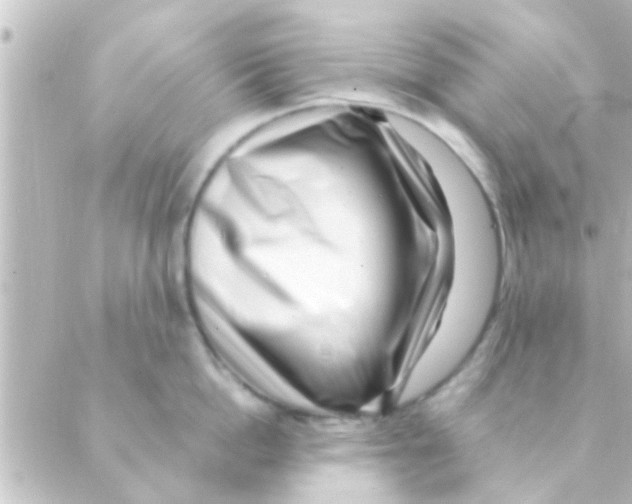 X0000088660862200706221634