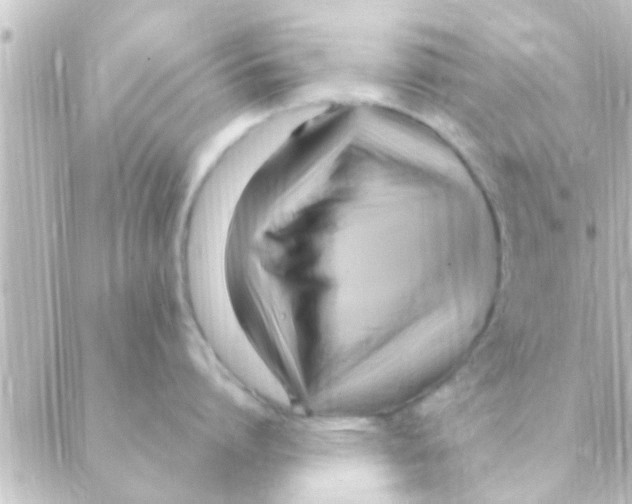 X0000088660864200706221634