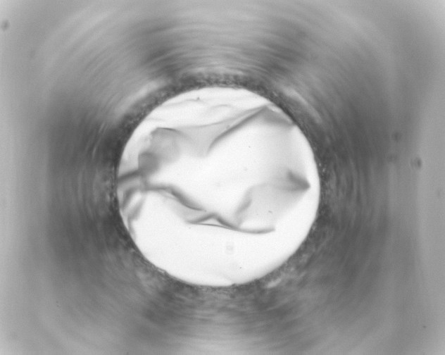X0000088660870200706221633