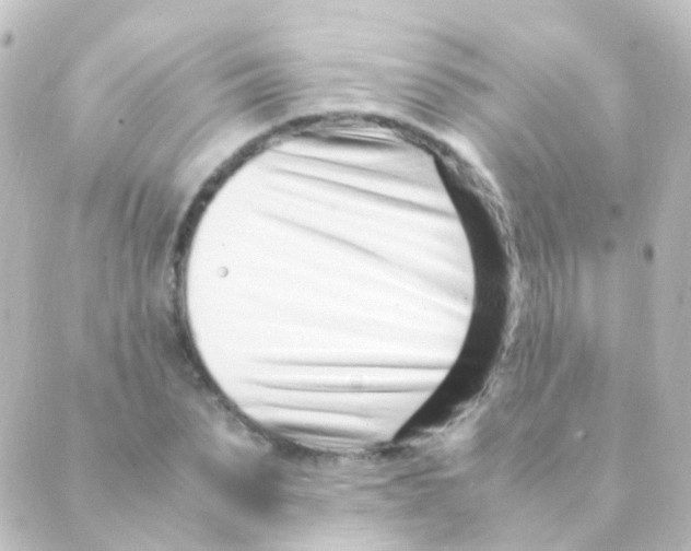 X0000088660879200706221633