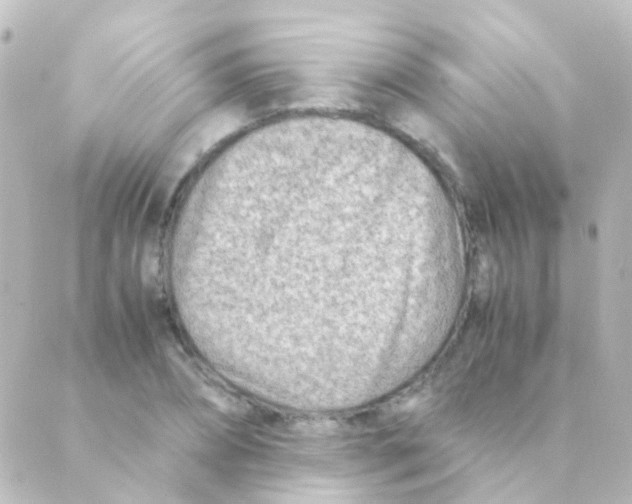 X0000088660882200706221633