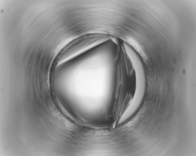 X0000088660884200706221632