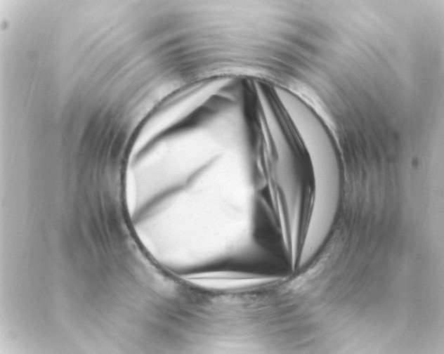 X0000088660898200706221632