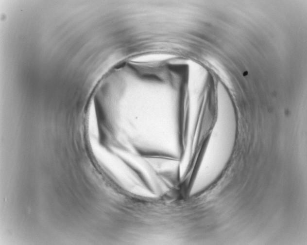 X0000088660899200706221632