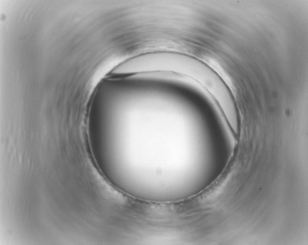 X0000088660901200706221632