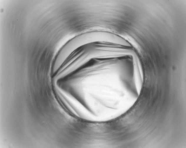 X0000088660902200706221632
