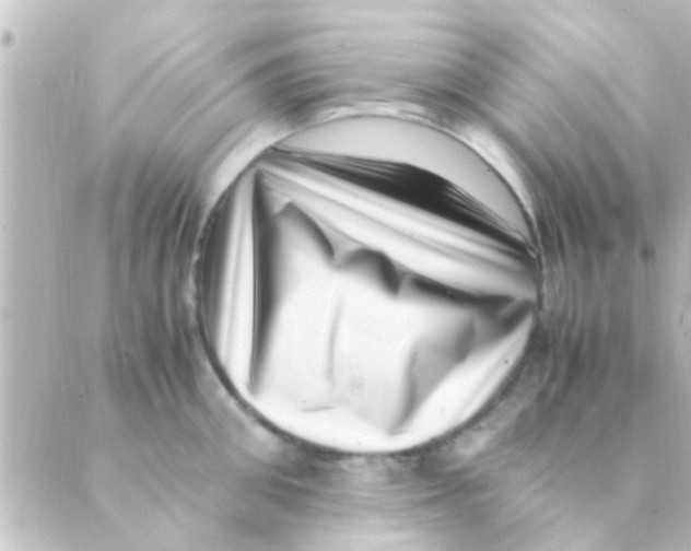 X0000088660906200706221632