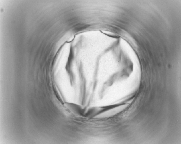 X0000088660907200706221632