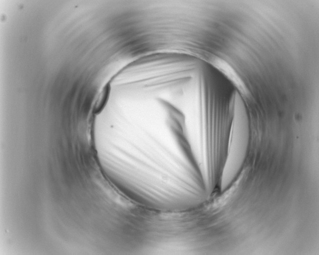 X0000088660908200706221632