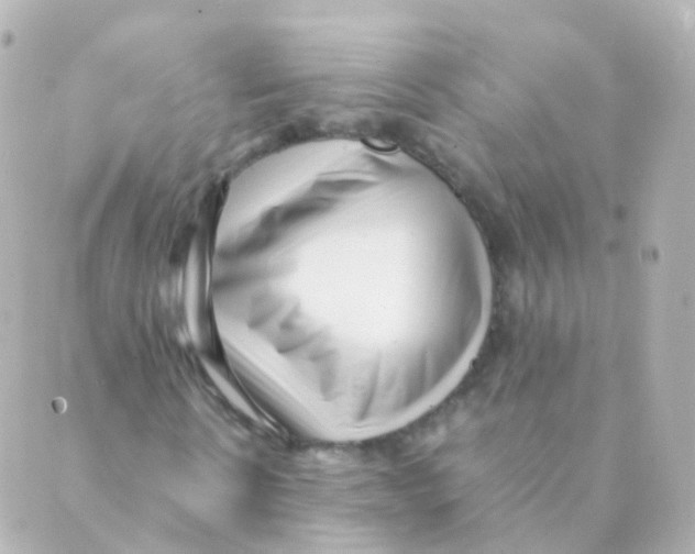 X0000088660914200706221631