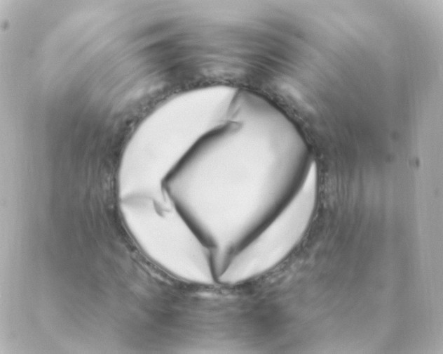 X0000088660917200706221631