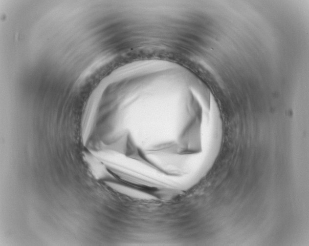 X0000088660919200706221631