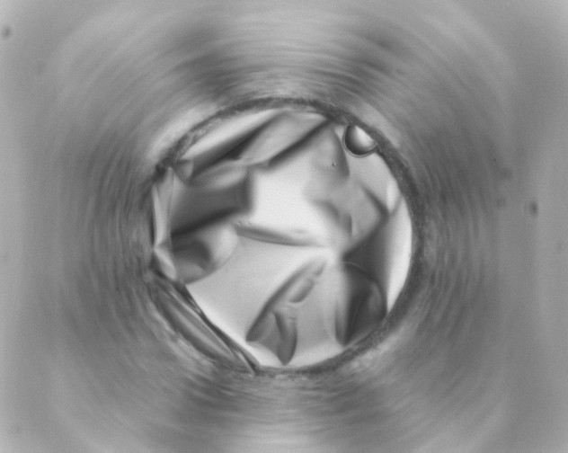 X0000088660922200706221631