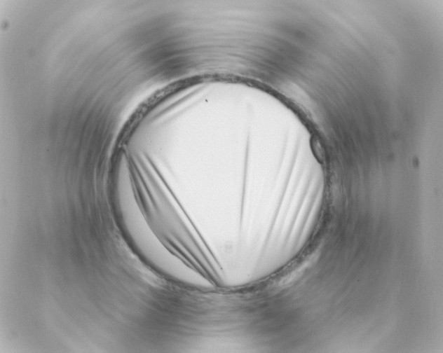 X0000088660924200706221631