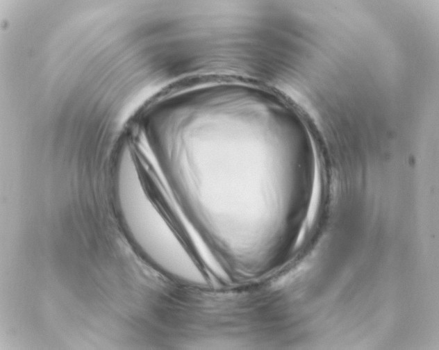 X0000088660925200706221631