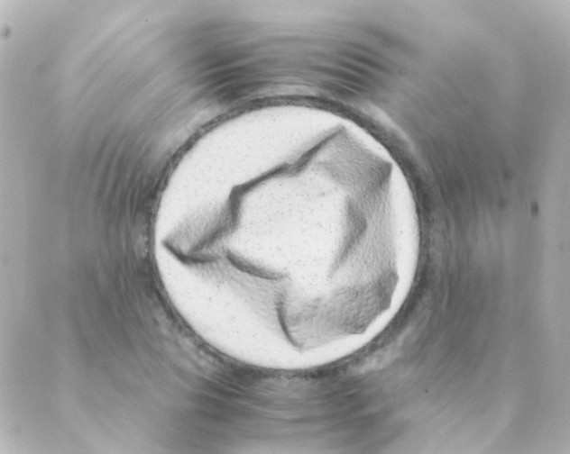 X0000088660929200706221631