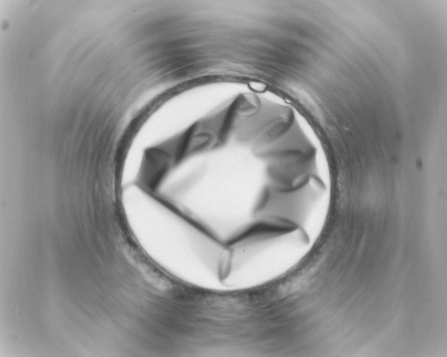 X0000088660931200706221632