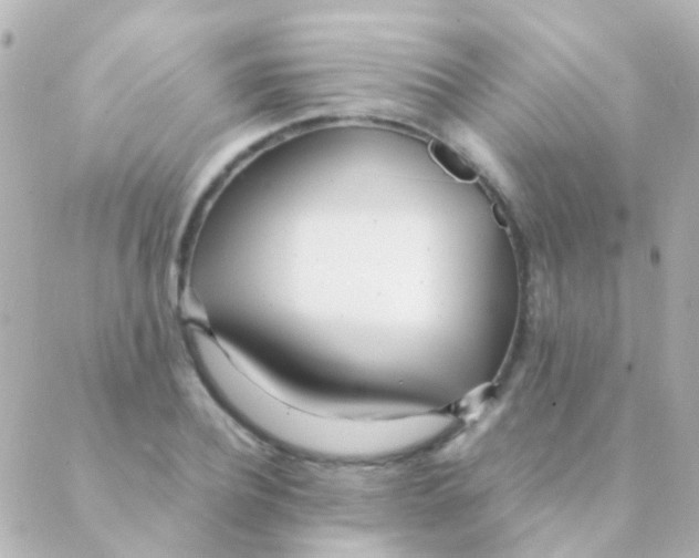 X0000088660932200706221632