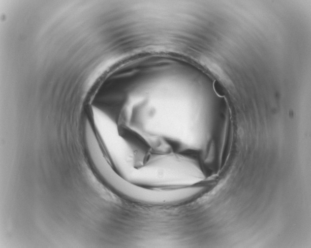 X0000088660934200706221632