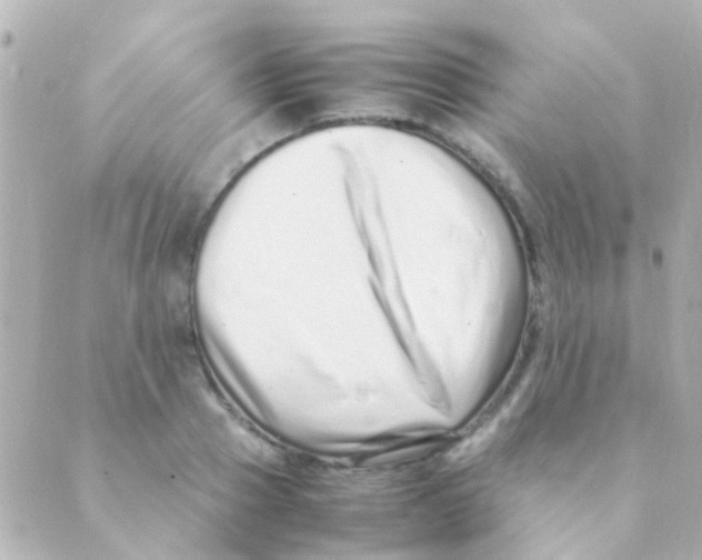 X0000088660937200706221632