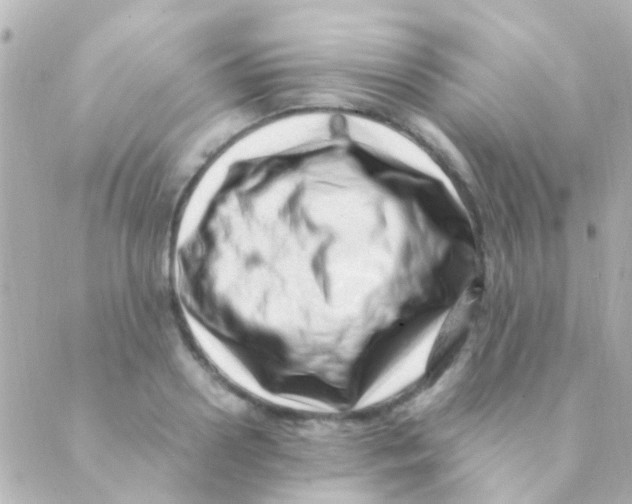 X0000088660938200706221632