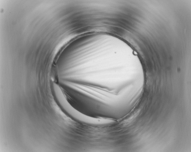 X0000088660939200706221632