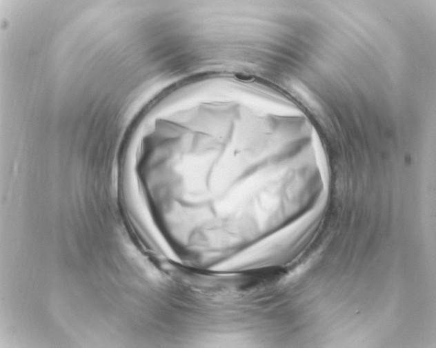 X0000088660940200706221632