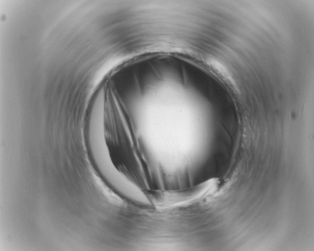 X0000088660942200706221632
