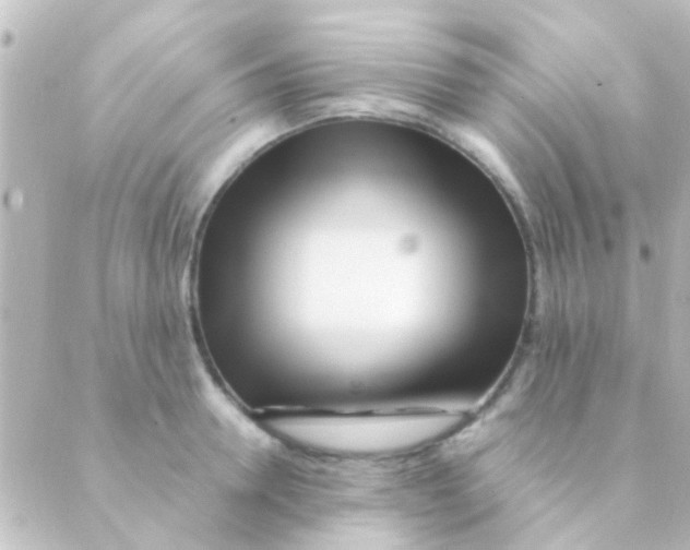 X0000088660946200706221632
