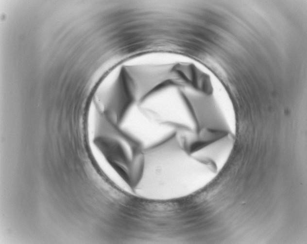 X0000088660947200706221632
