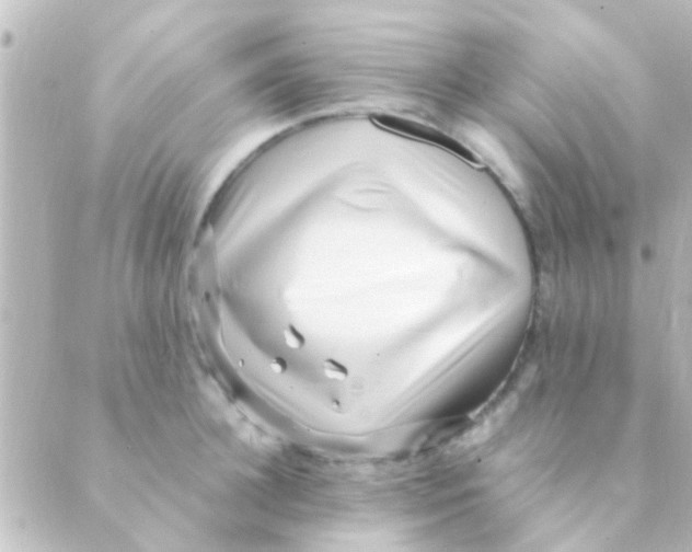 X0000088660948200706221632