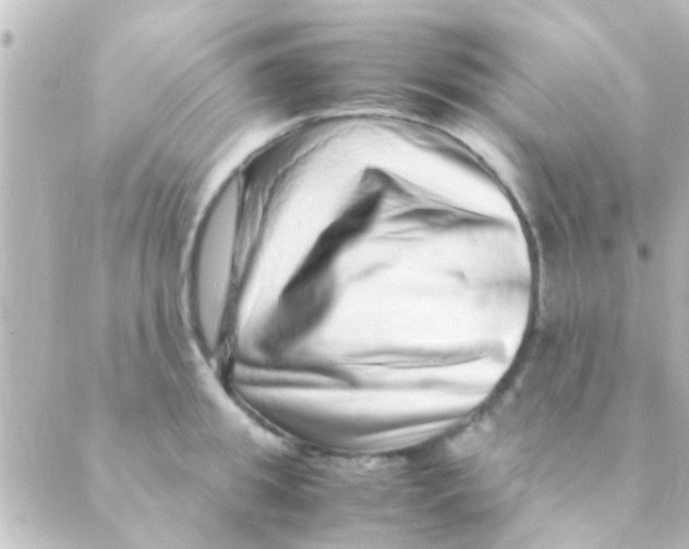 X0000088660949200706221632