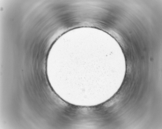 X0000088660950200706221632