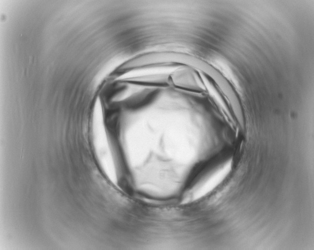 X0000088660952200706221632