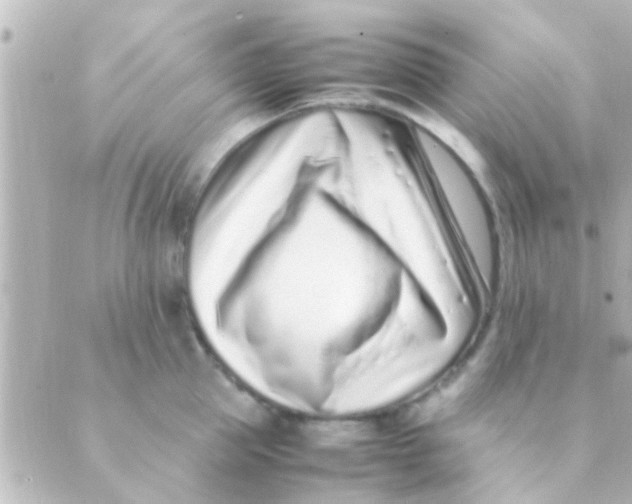 X0000088660953200706221632