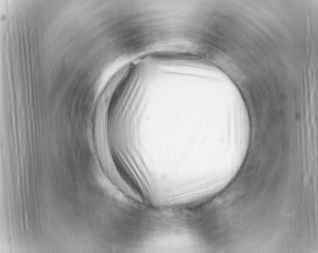 X0000088660960200706221632