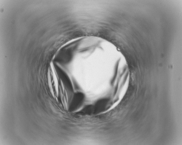 X0000088660963200706221631