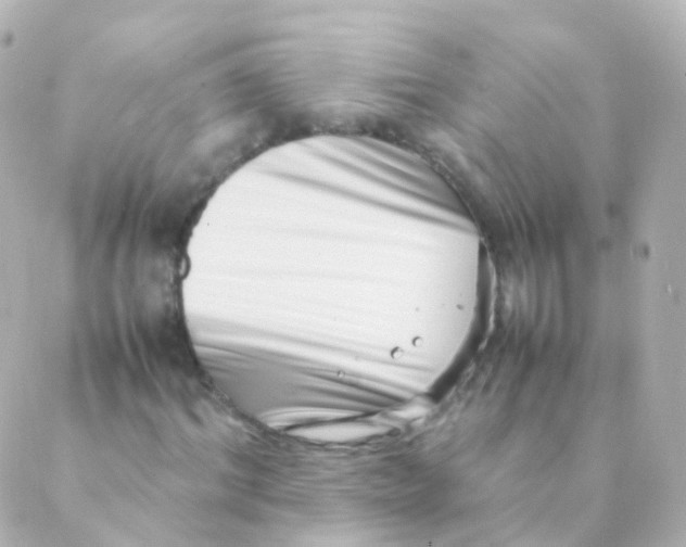 X0000088660964200706221631