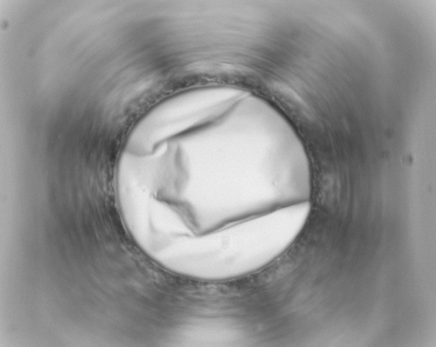 X0000088660966200706221631