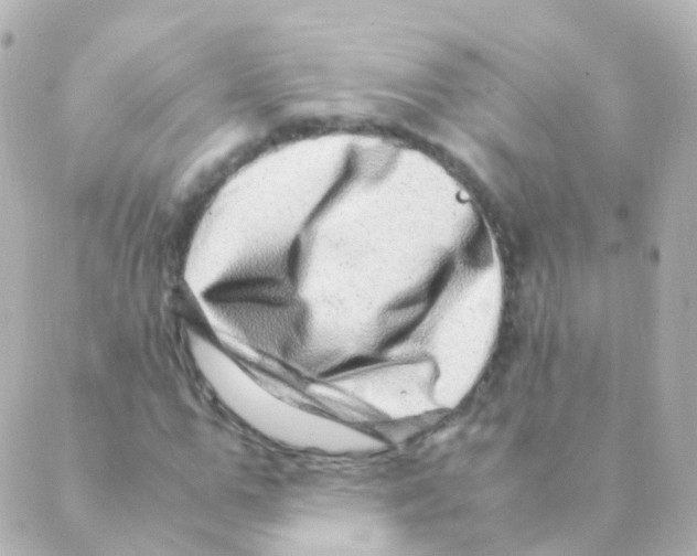 X0000088660967200706221631