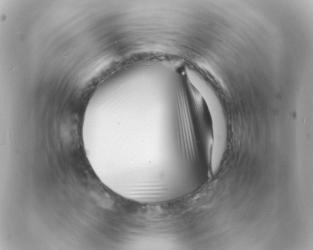 X0000088660968200706221631