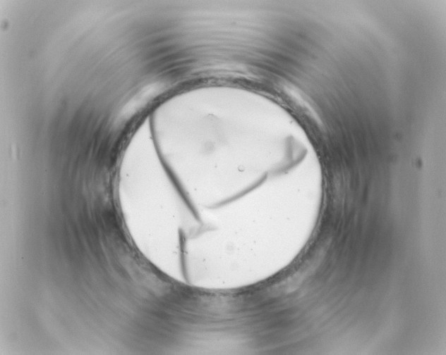 X0000088660970200706221631