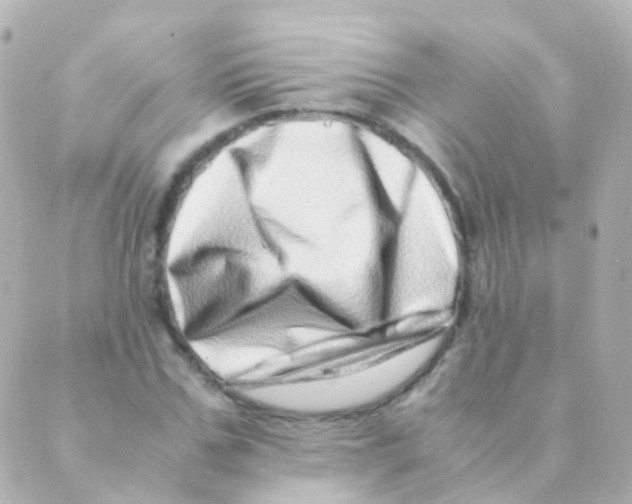 X0000088660971200706221631