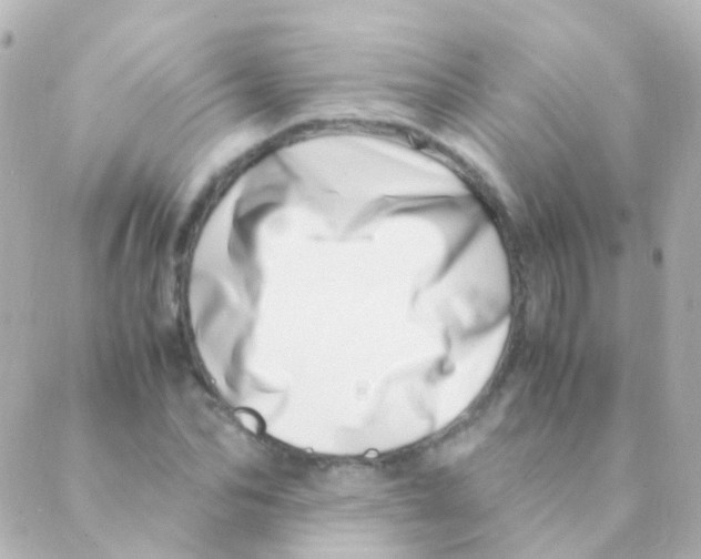 X0000088660974200706221631