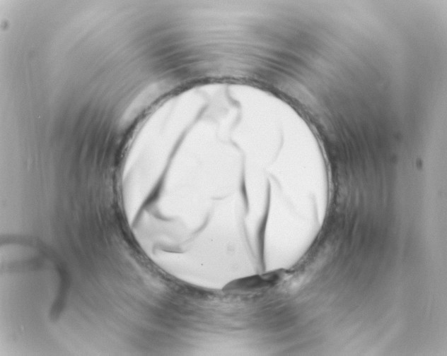 X0000088660978200706221631