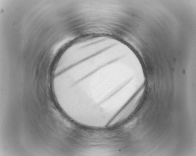 X0000088660979200706221631