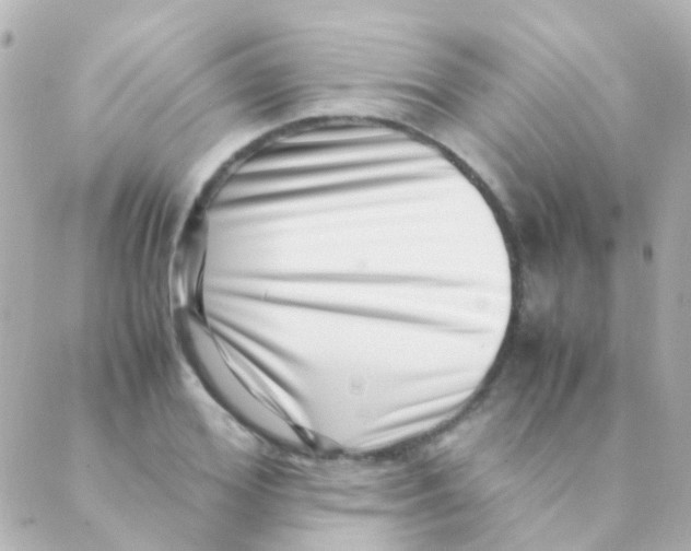X0000088660980200706221631