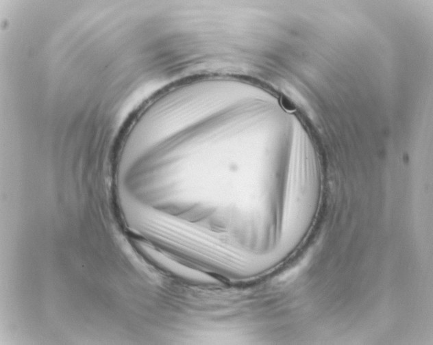 X0000088660981200706221631