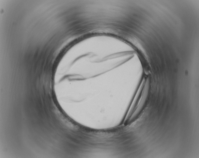 X0000088660984200706221631