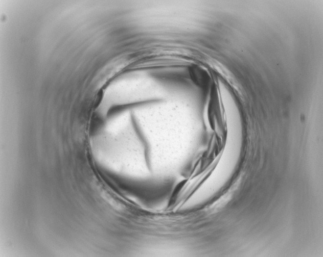 X0000088660985200706221631